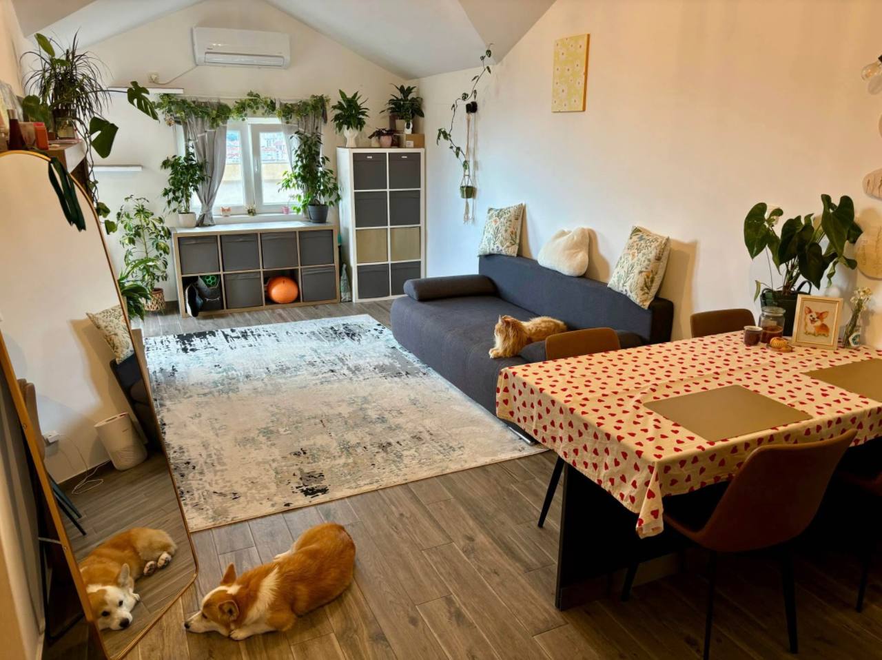 Квартира с 1 спальней в Подкошлюне, 45 м² 2