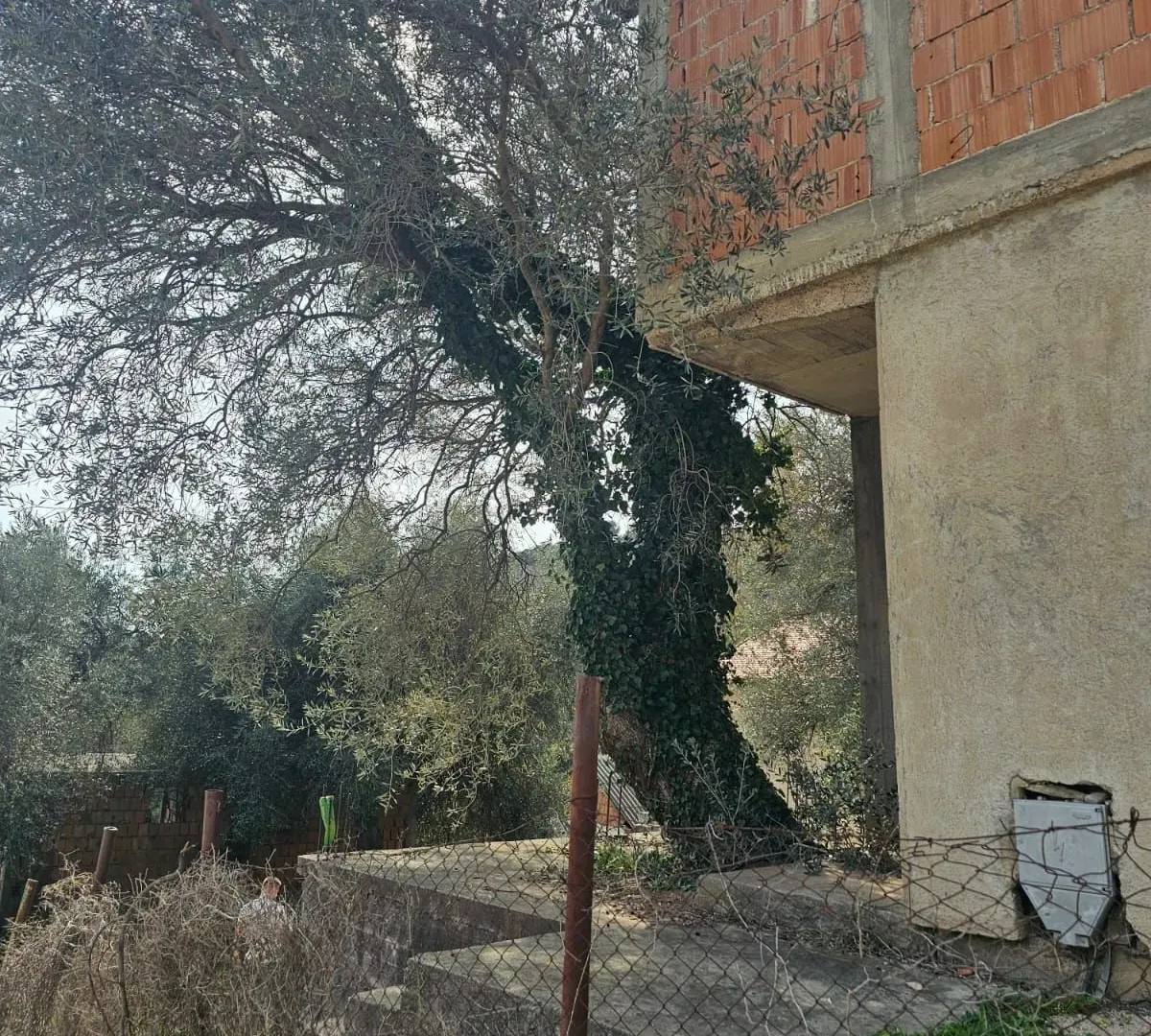 Дом с 3 спальнями в Шушани, 74 м² 3