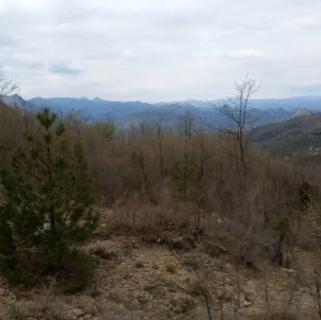 Участок в Баре, 12000 м² thumbnail 6