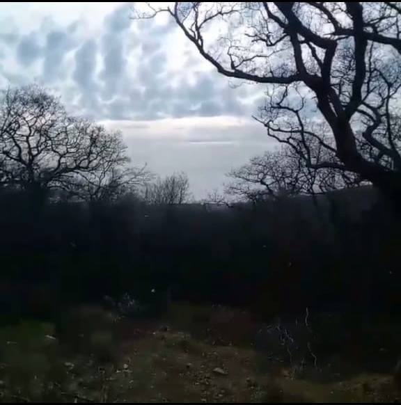 Участок в Баре 4