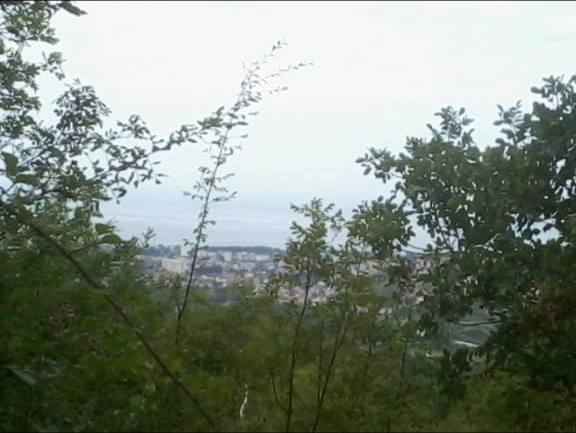 Участок в Баре thumbnail 6