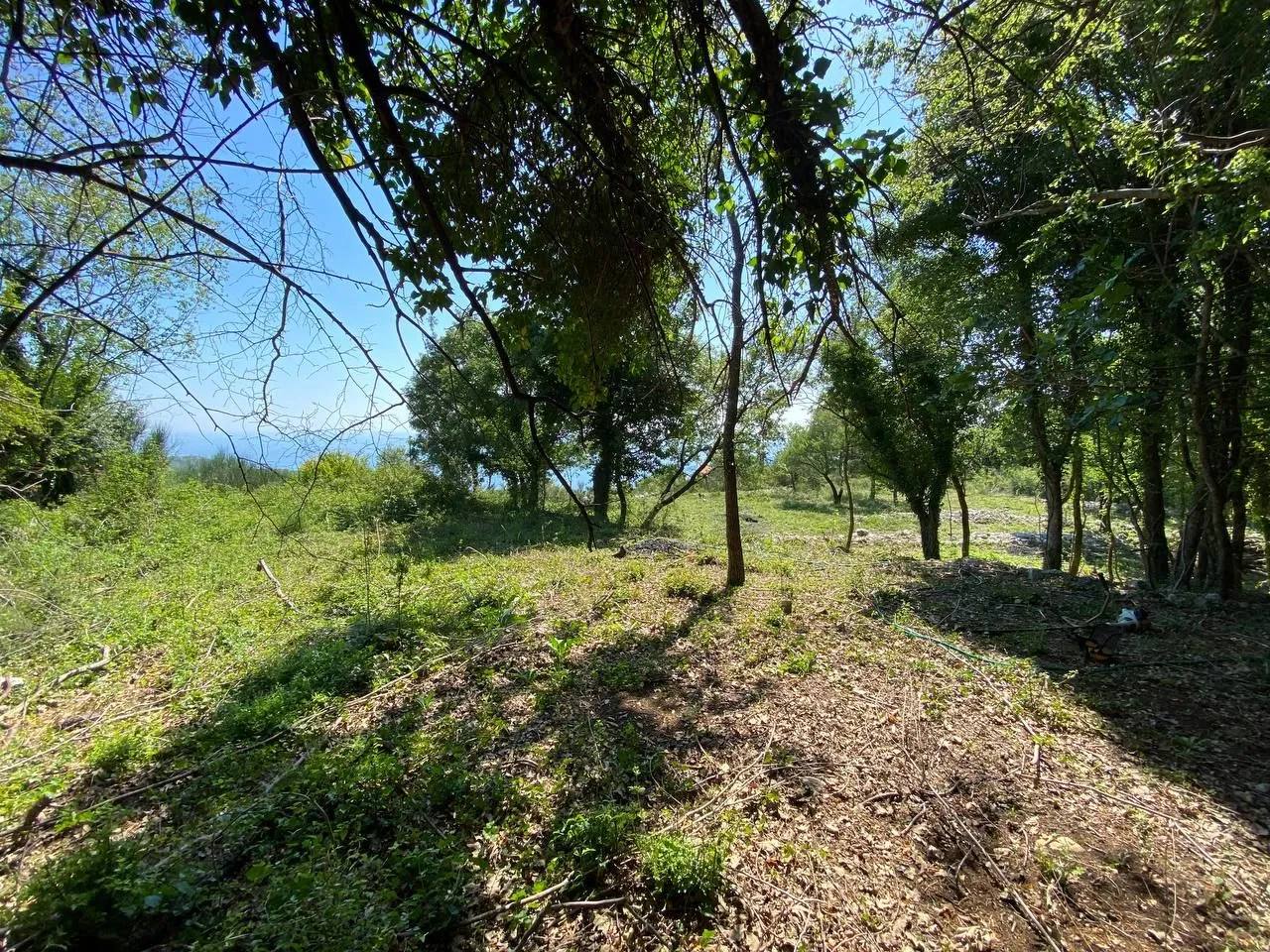 Участок в Будве, 1803 м² 4